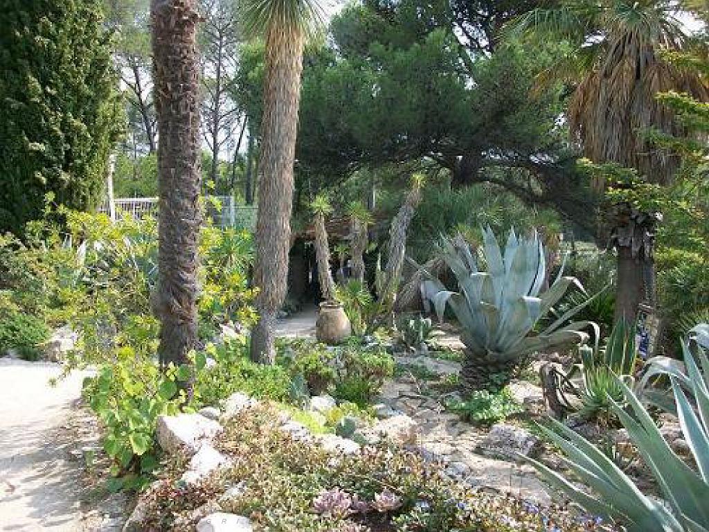 183 D21 SANARY SUR MER 1_000010.jpg
